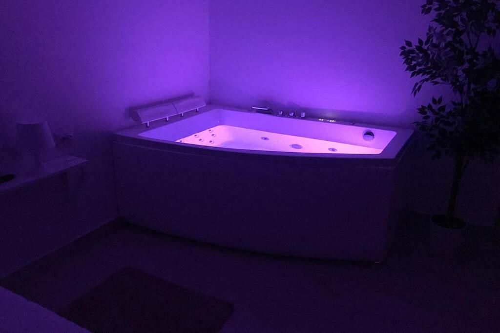 With Jacuzzi Free Wifi Valence